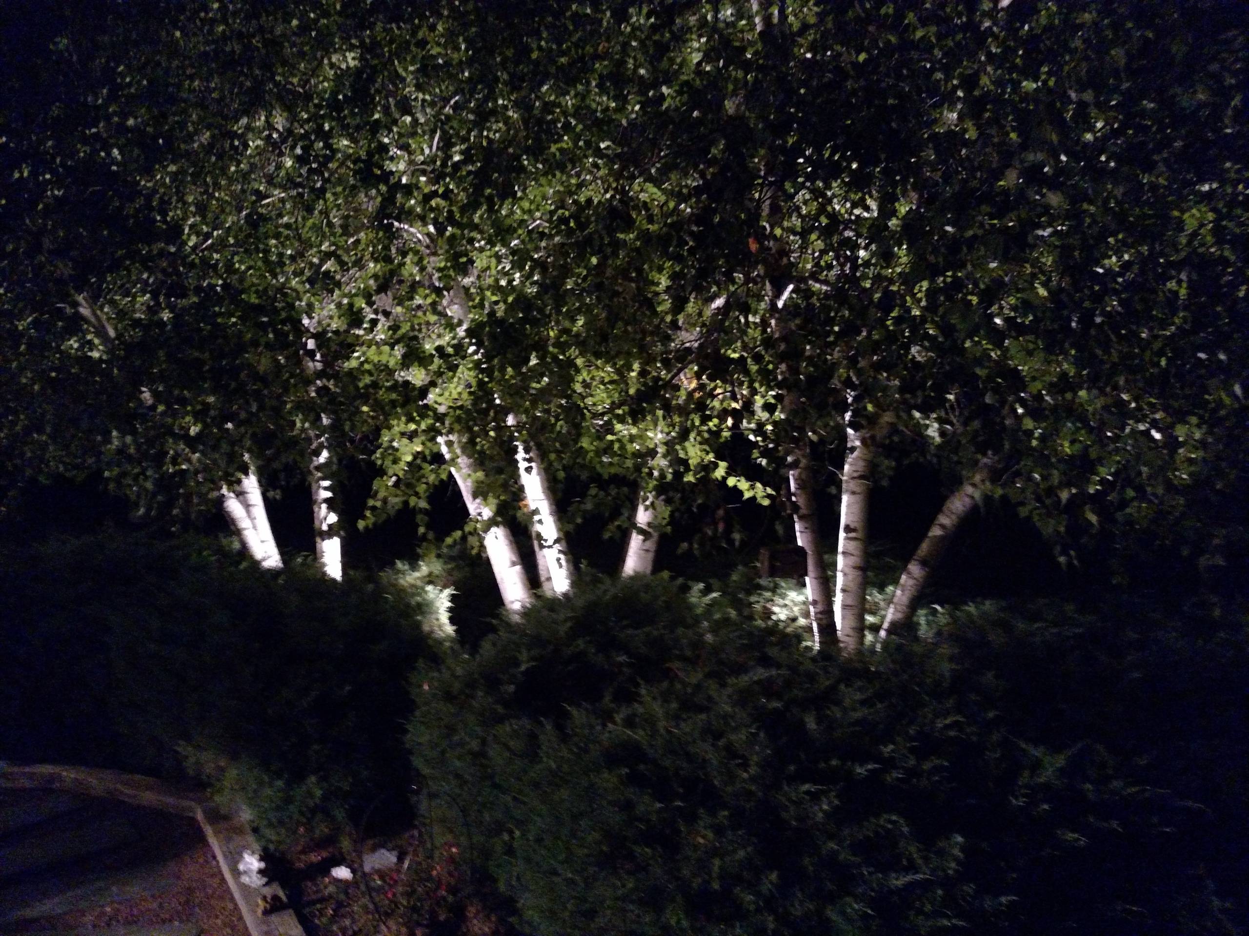 Custom landscape lighting