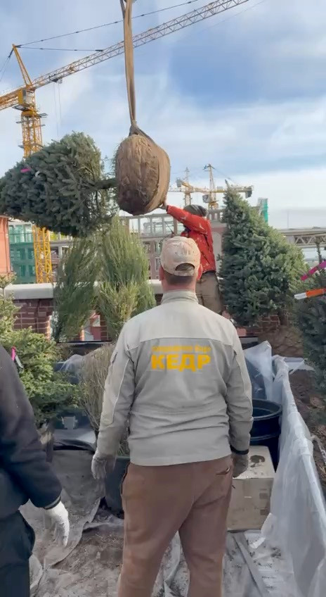 -8182721805423718649.mp4