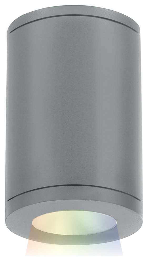 Tube Architectural 5" LED Color Changing Flush Mount Spot Beam, Graphite Transitional