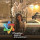 alona_aronoff
