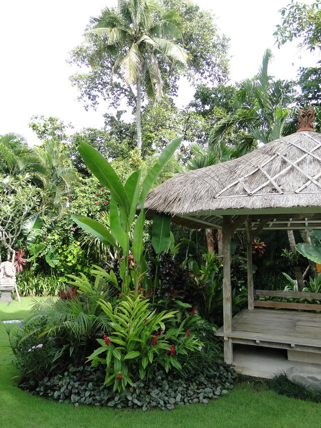 This is an example of a tropical garden in Other.