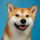 therapy doge