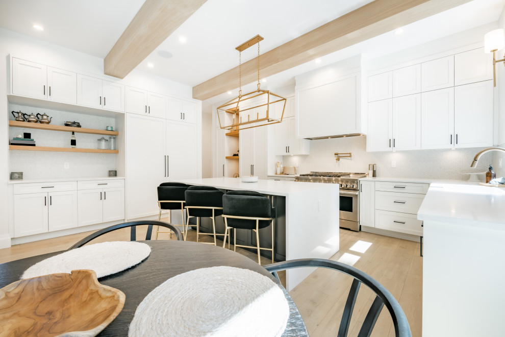 Kitchen - transitional kitchen idea