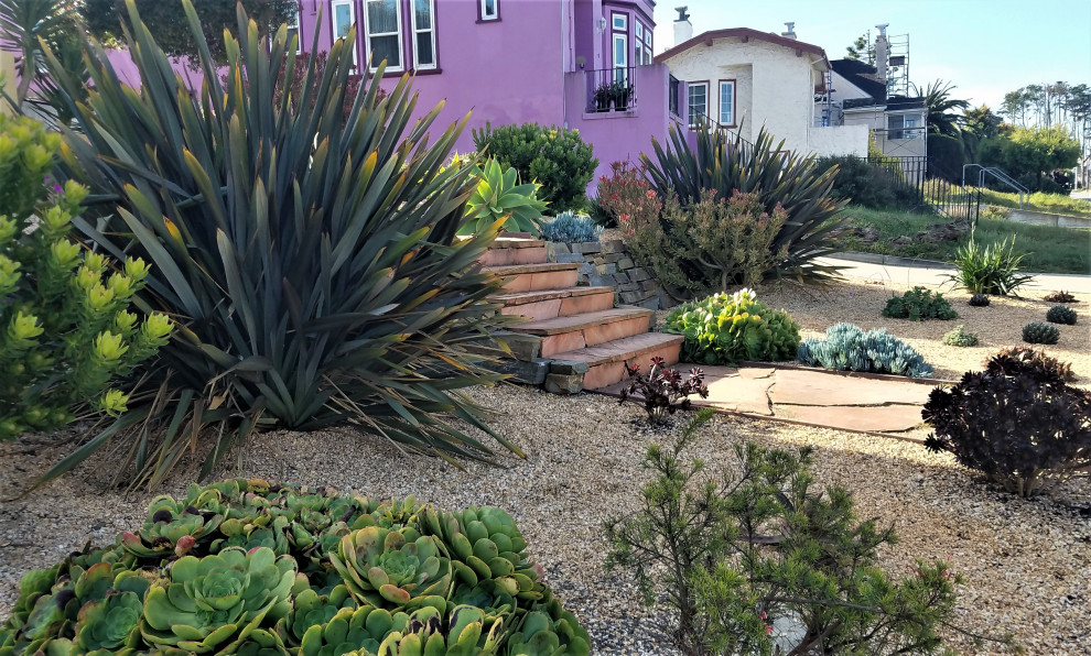 Drought Tolerant Front Yard with Mediterranean flavor