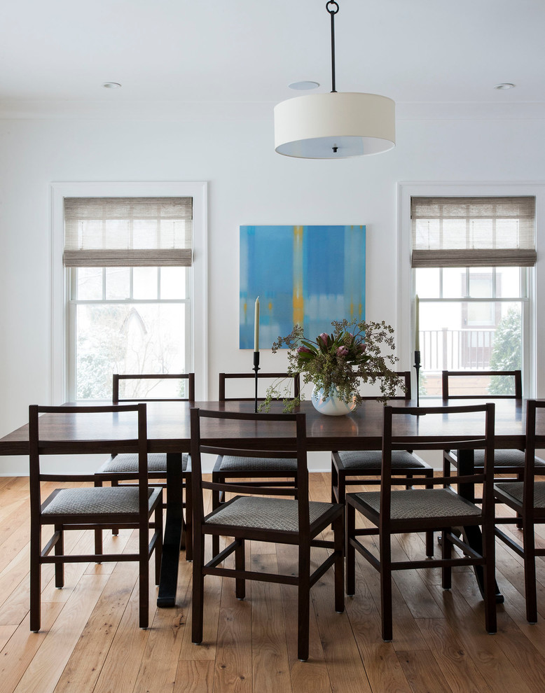 This is an example of a mid-sized transitional separate dining room in Auckland with white walls and no fireplace.