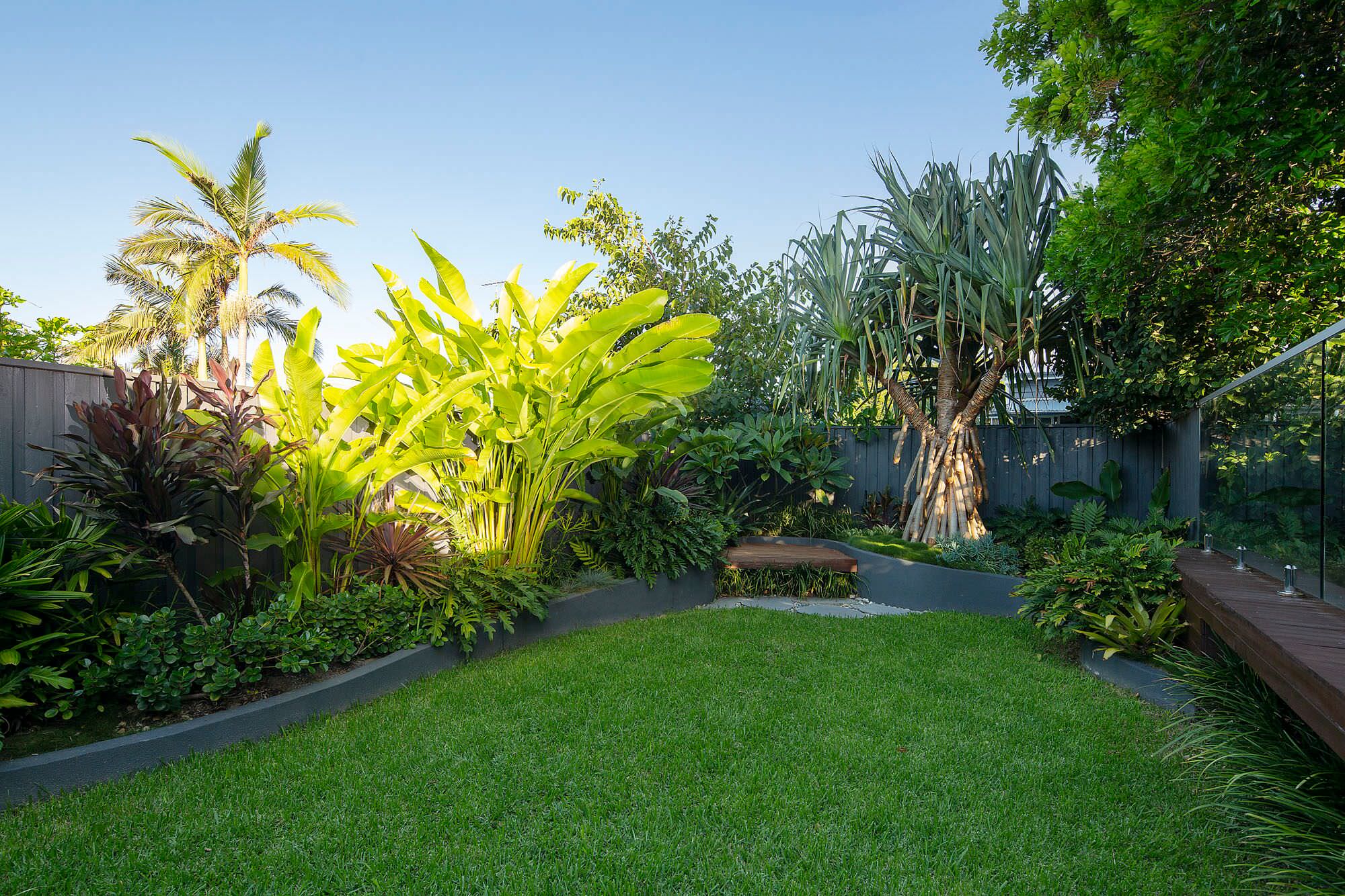 A Tropical Makeover for a Small Queensland Garden  Houzz AU