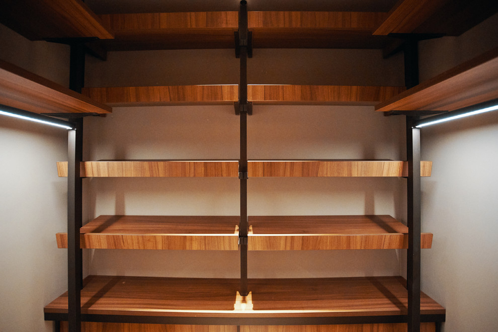 raumplus в интерьере квартиры на Минской, гардеробная UNO коридор