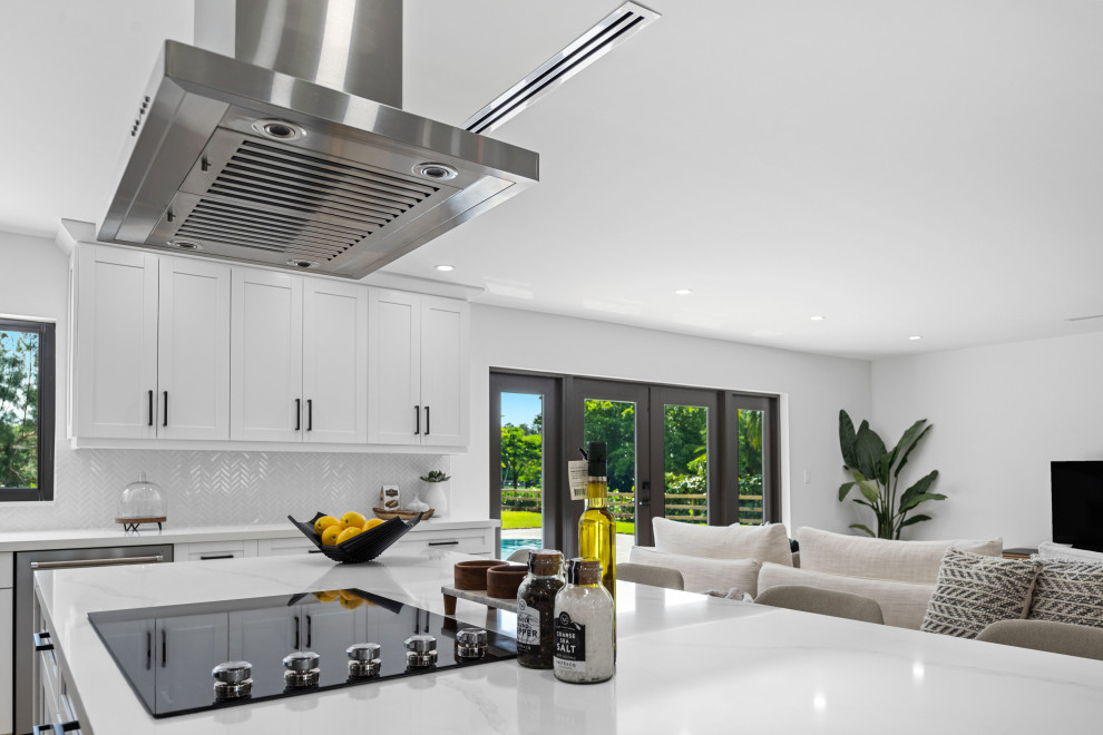 Kitchen - transitional kitchen idea in Miami