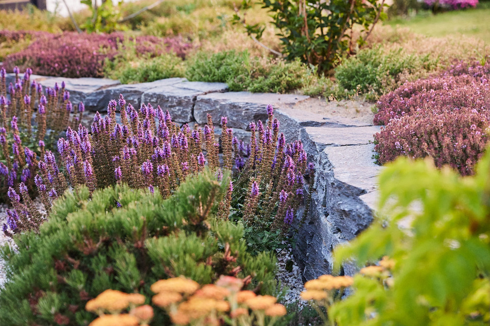 Diseño de jardín de secano nórdico de tamaño medio en patio delantero con muro de contención, exposición total al sol y adoquines de piedra natural