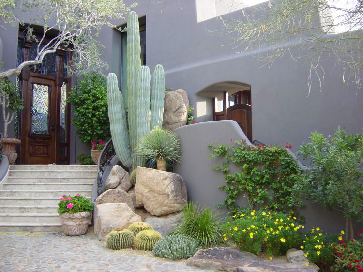 Inspiration for a large front yard full sun xeriscape for summer in Phoenix with gravel.