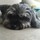 cathy_zerella