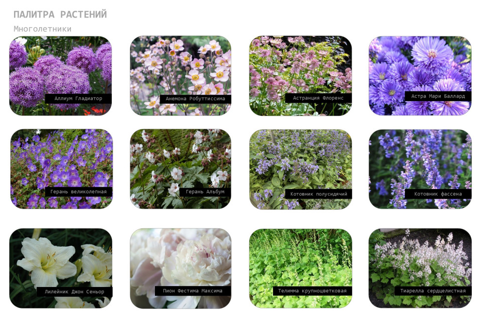 Гармония гор