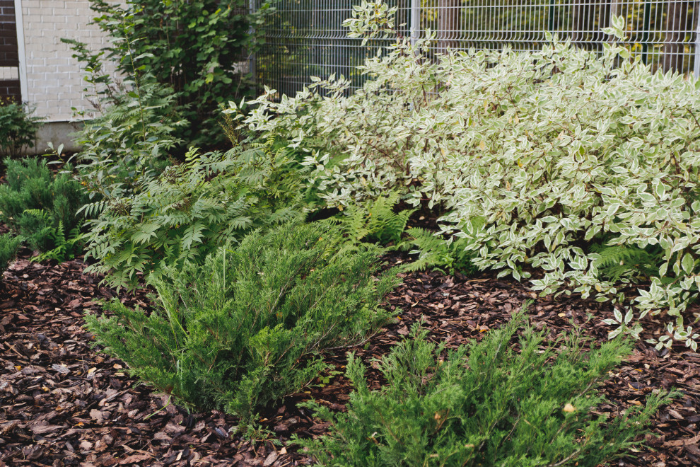 Сад на краю леса