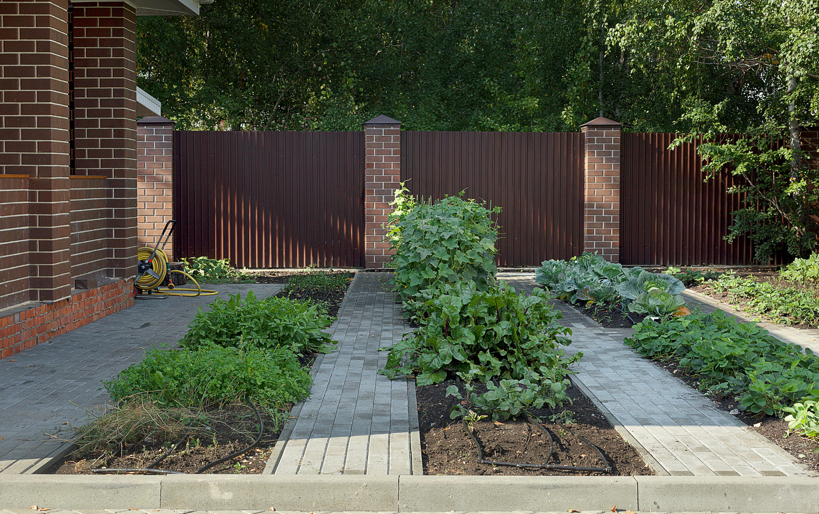 Вавиловец 1