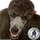 pamela_nelson3613401