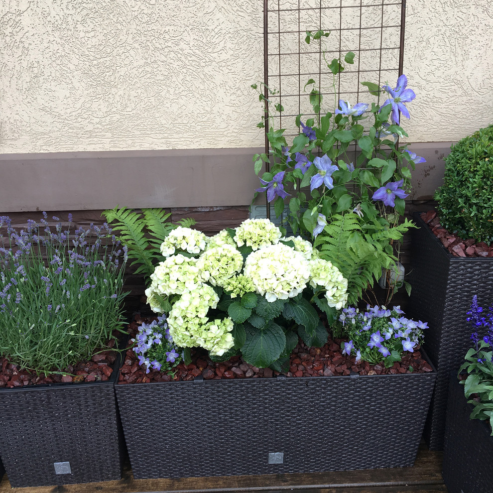 Летний сад на террасе