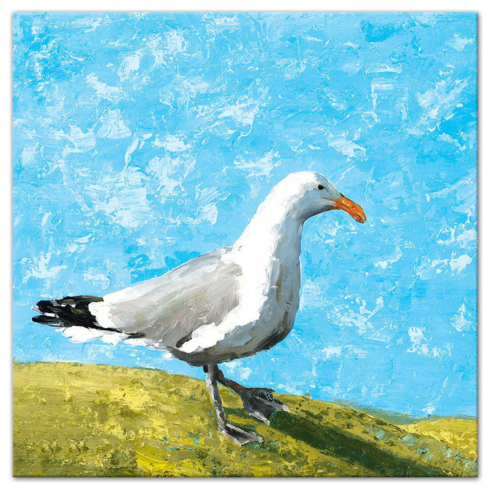 Curious Seagull 16x16 Canvas Wall Art Beach Style Prints And Posters By Designs Direct