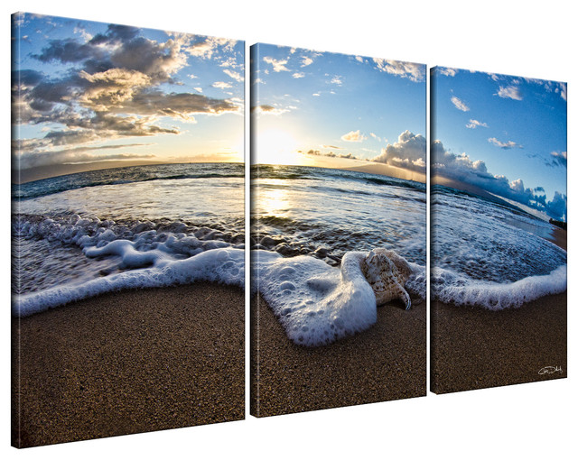 Beach Canvas Wall Art sea star ii" 3-piece canvas wall artchristopher doherty Beach Canvas Wall Art sea star ii" 3-piece canvas wall artchristopher doherty