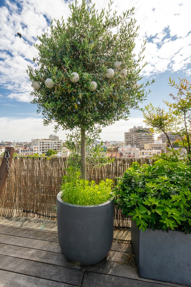 Large contemporary rooftop and rooftop deck in Paris with a container garden, no cover and wood railing.