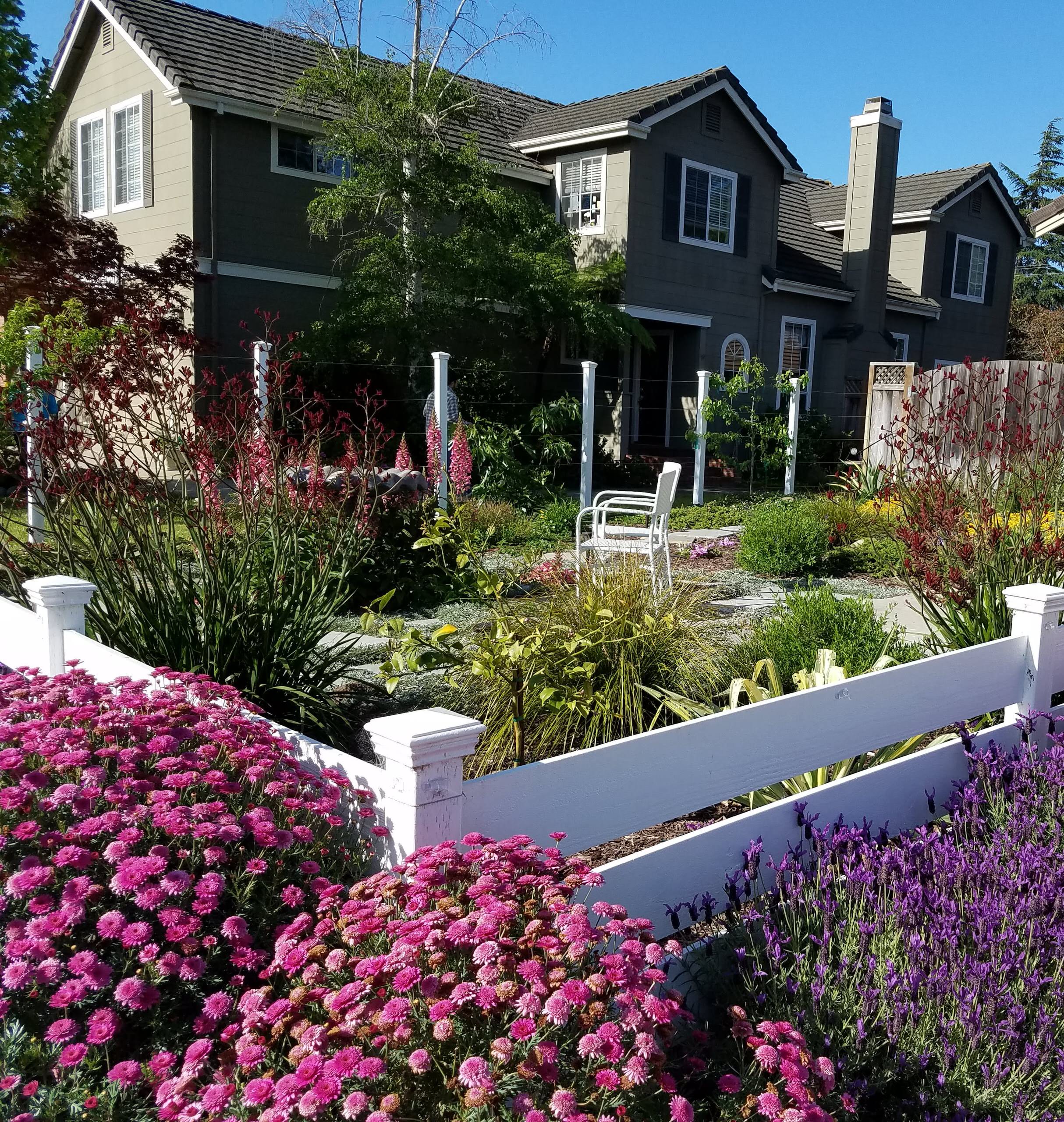 Year-round Color in Soquel