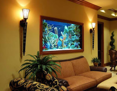 How to make wall aquarium and wall fish tank DIY | Houzz IE