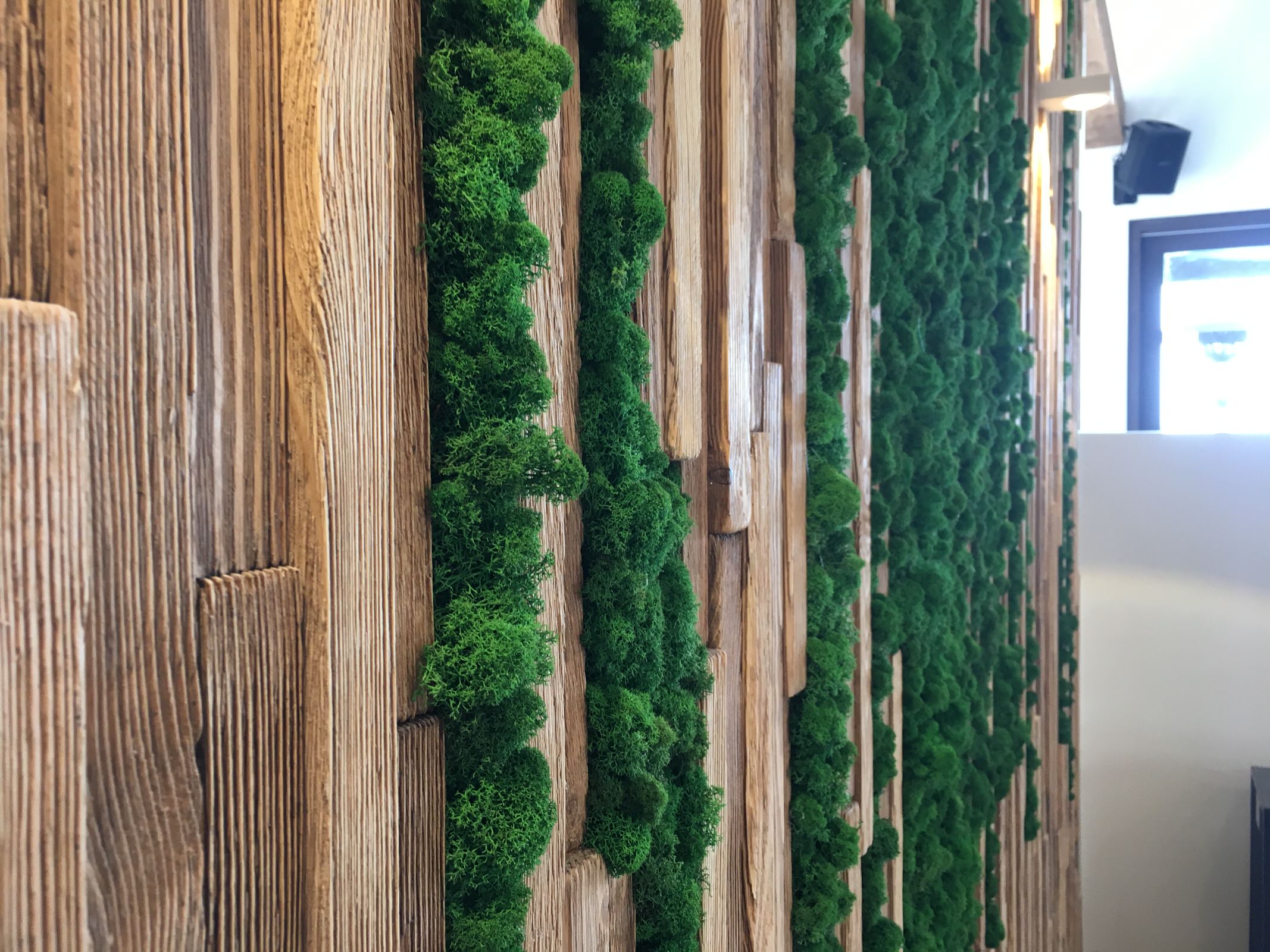 Озеленение мхом частного дома