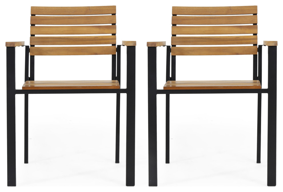 Alberta Outdoor Wood and Iron Dining Chairs, Set of 2 Transitional