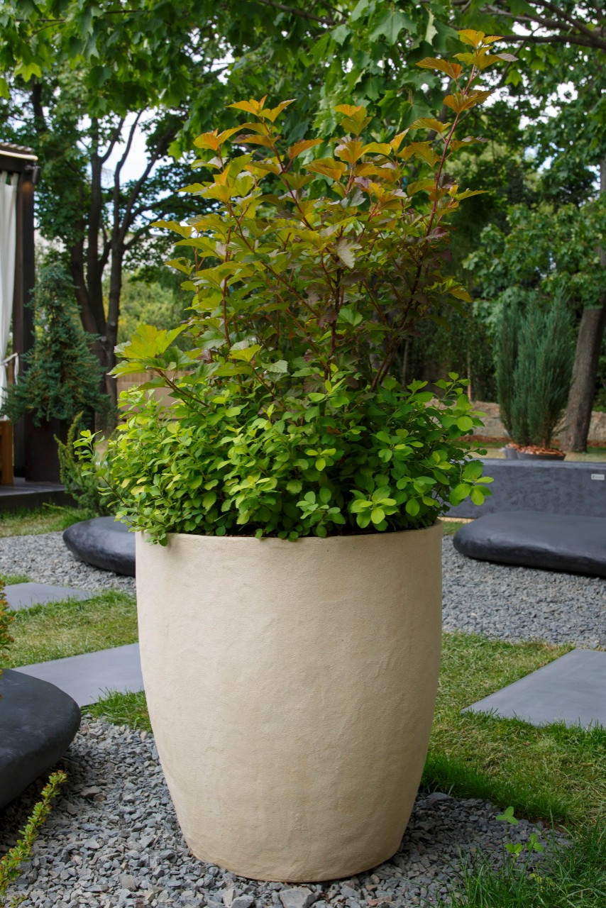 Фестиваль "Moscow Flower Show"