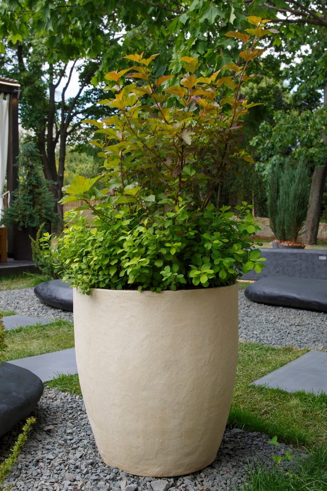 Фестиваль "Moscow Flower Show"