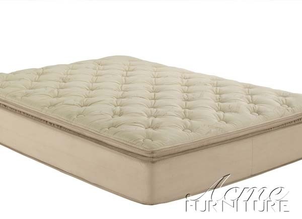 Acme Furniture - Beige Suede Queen Pillow Top Mattress and Foundation - 29076-77