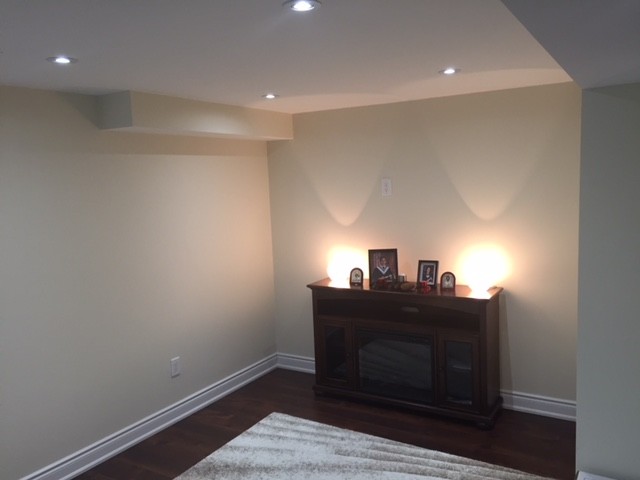 Basement Renovation -