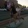 eva_gibson