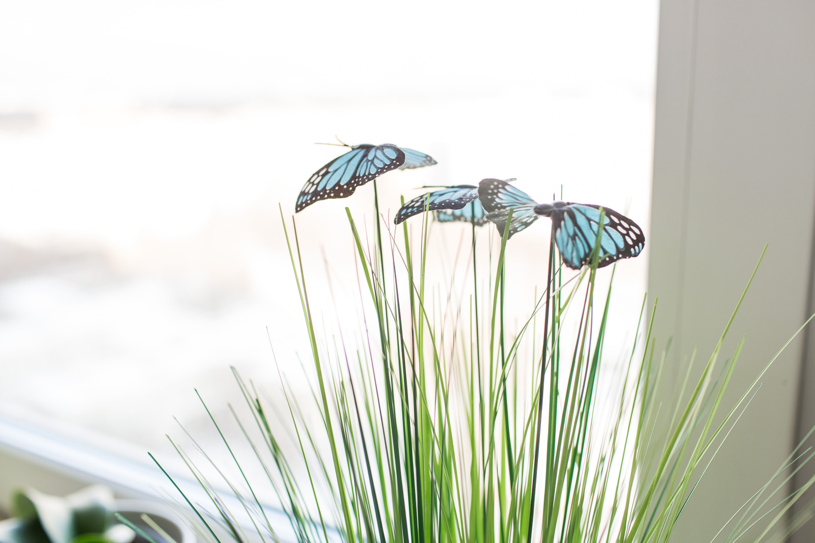 Ванильные облака