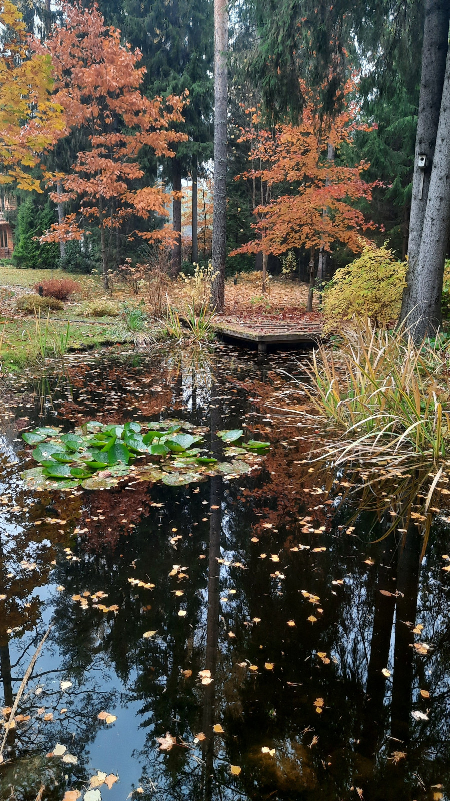 Романтический сад в пейзажном стиле