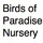 Birds of Paradise Nursery