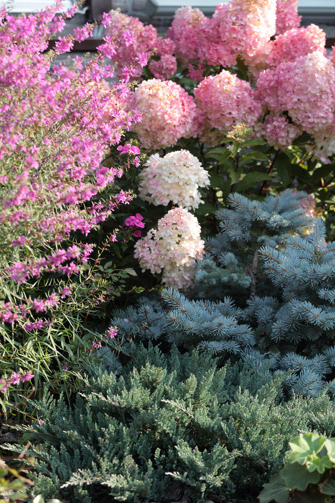 Хвойный миксбордер