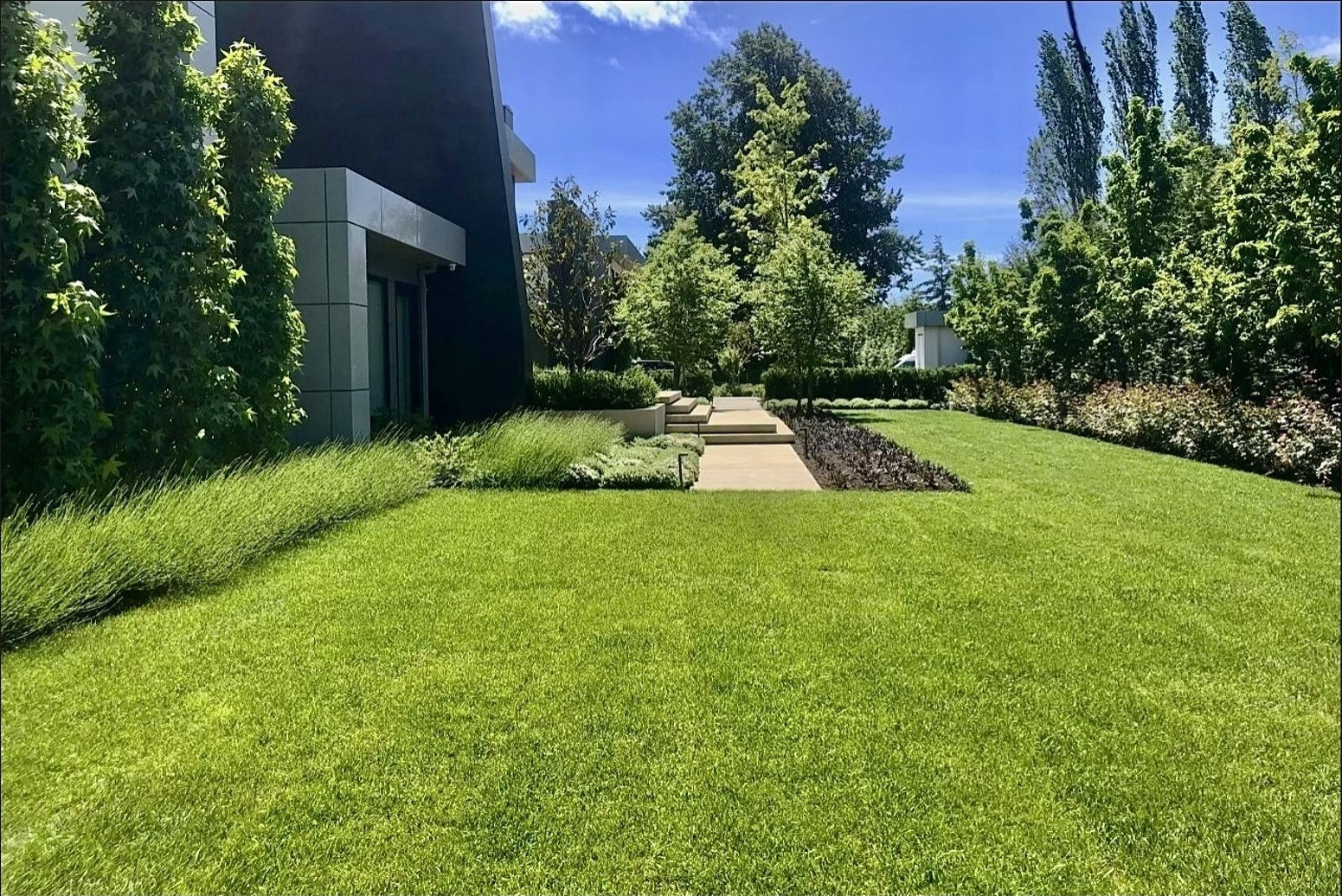 Urban Farm