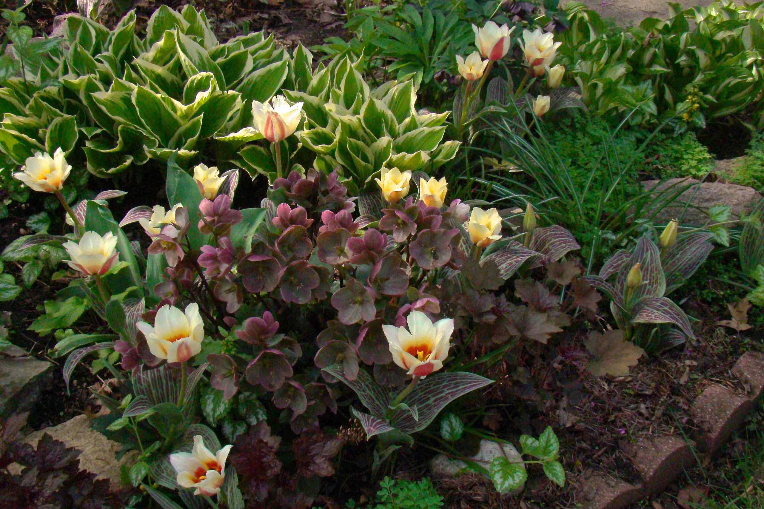 Small Garden Beds