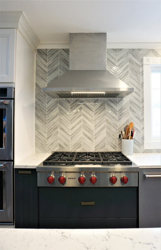 Kitchen - transitional kitchen idea in New York