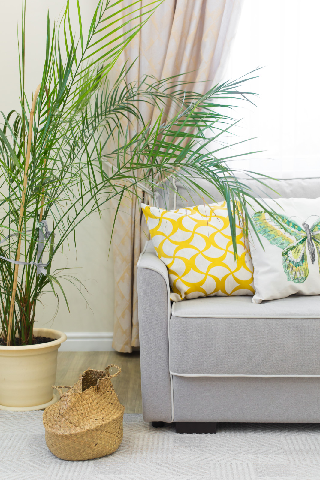 Яркие краски уюта