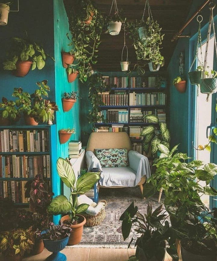 Уютные джунгли