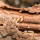 Heart Of Dixie Termite Experts