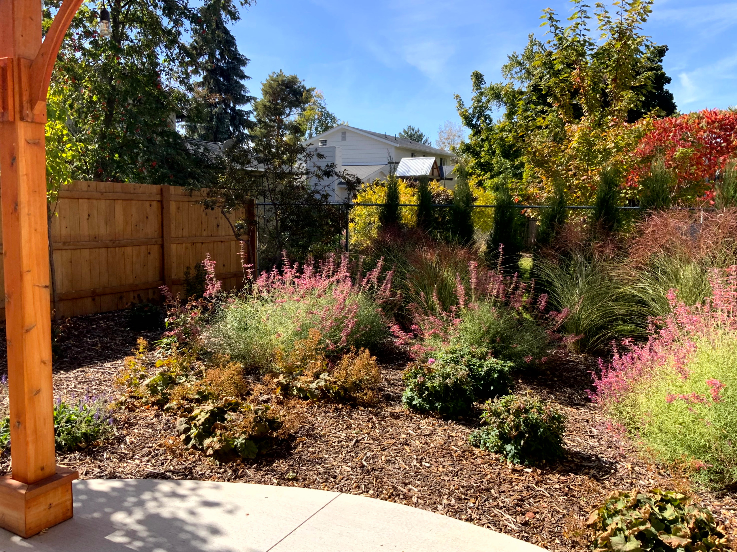 Pollinator Garden