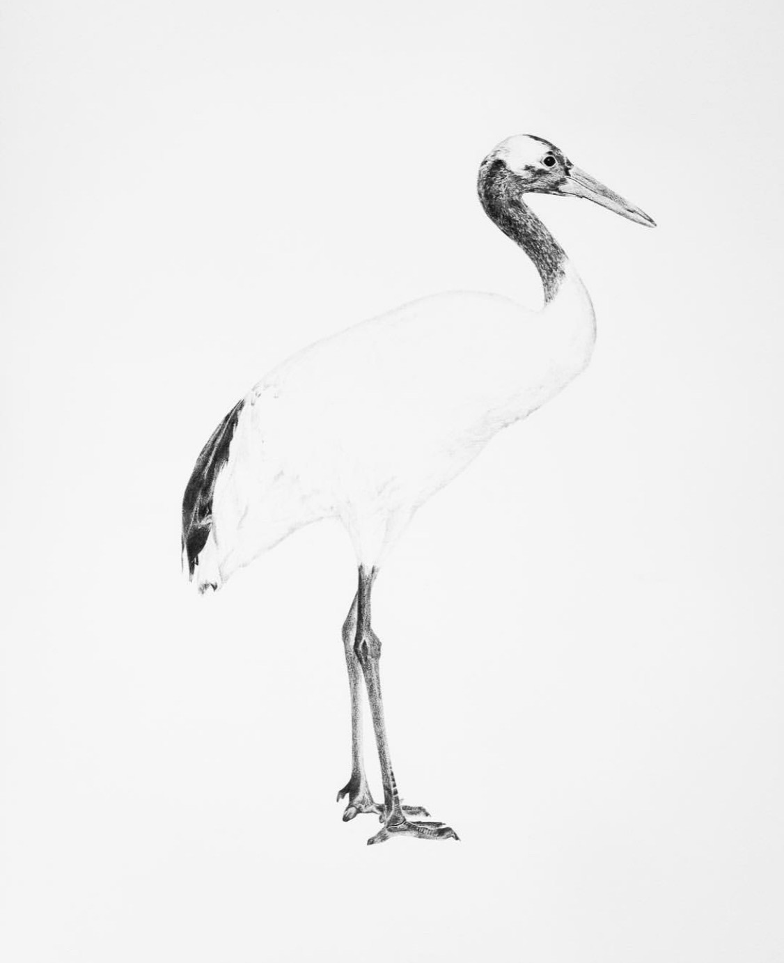The Art of Drawing - Commissions Upon Request