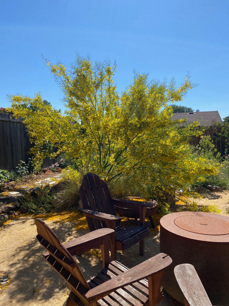 Palo Verde pruning help for a CA gardener, please & thank you!!