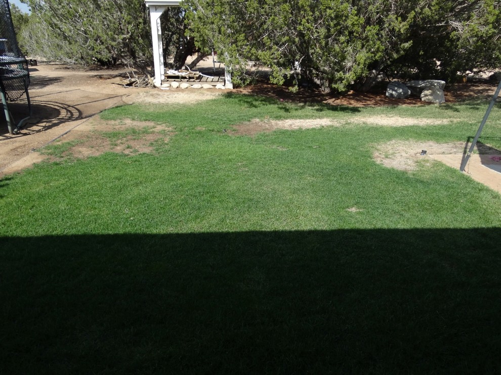 Overseed twice a year outlet
