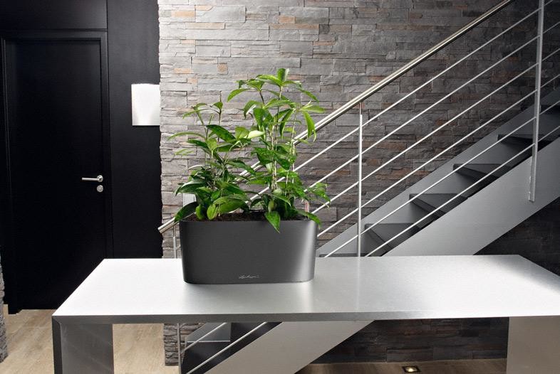 Шик на небольшой площади