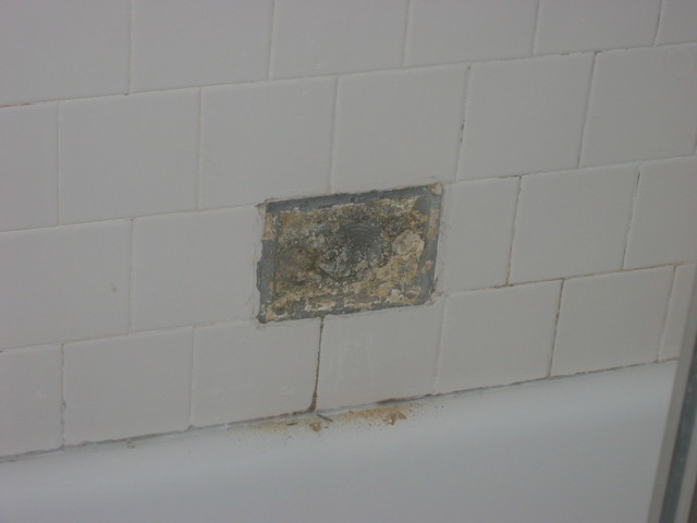 The soap holder fell out of the wall of my shower. What could I