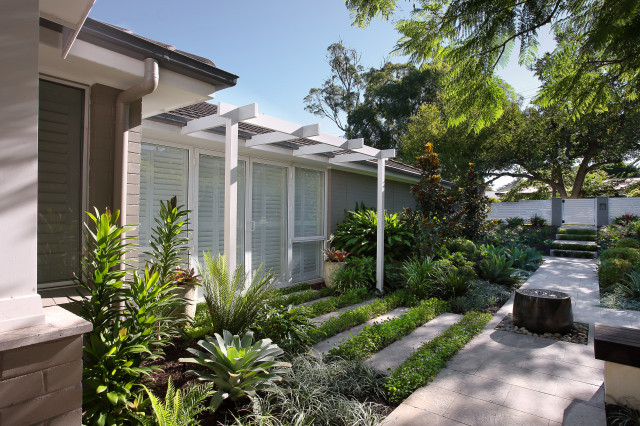 Turramurra 2 contemporary-garden