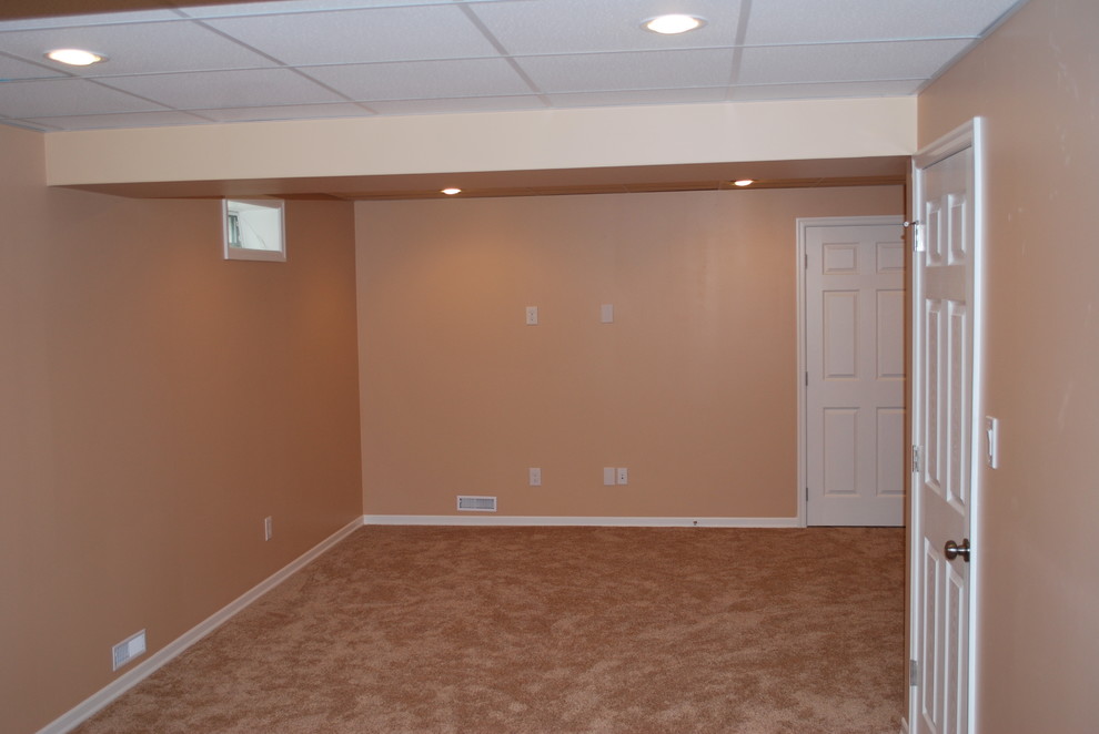 Large elegant look-out carpeted and brown floor basement photo in Calgary with orange walls and no fireplace